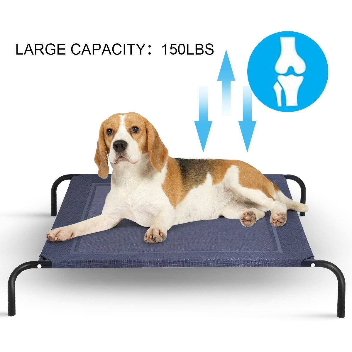 Elevated Pet Bed for Large Dogs - Color: Gray - Size: L
