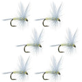 Pale Morning Dun PMD Classic Dry Fly - 6 Flies Hook Size 14