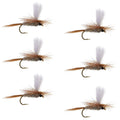 Hares Ear Parachute Classic Dry Fly - 6 Flies Hook Size 18