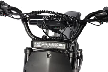 The Rizzler Bike