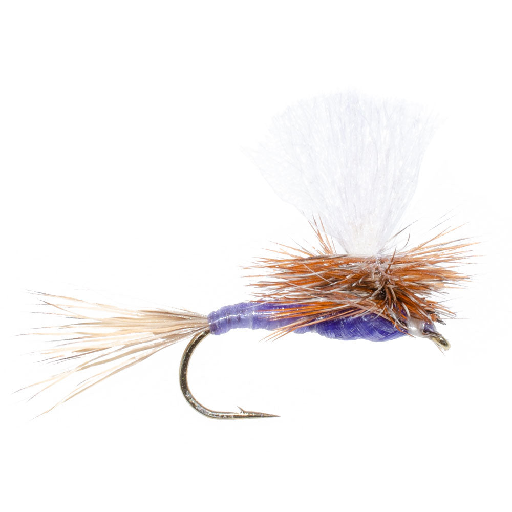 3 Pack Parachute Purple Haze Dry Fly - Size 12