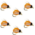 Bead Head LaFontaine Amber Deep Sparkle Caddis Pupa - 6 Flies Hook Size 14