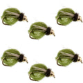 Bead Head LaFontaine Olive Deep Sparkle Caddis Pupa - 6 Flies Hook Size 16