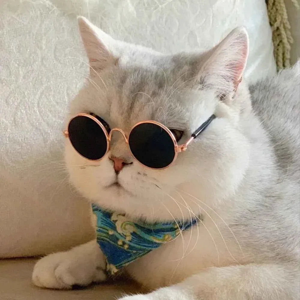 Cat & Dog Sunglasses – UV Protection Pet Photo Props