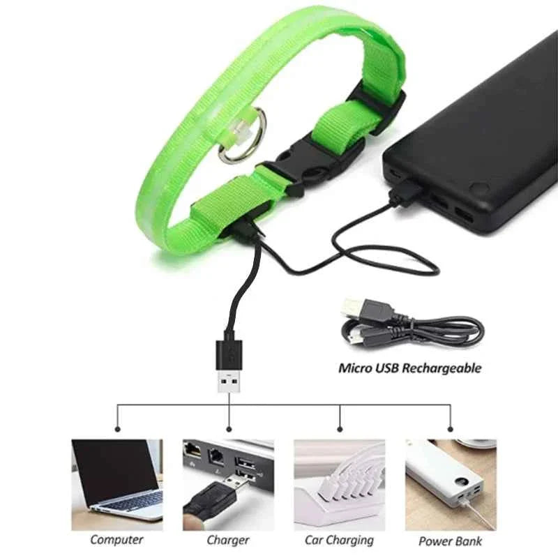 LED Pet Dog Collar for Night Safety | Bright USB Rechargeable