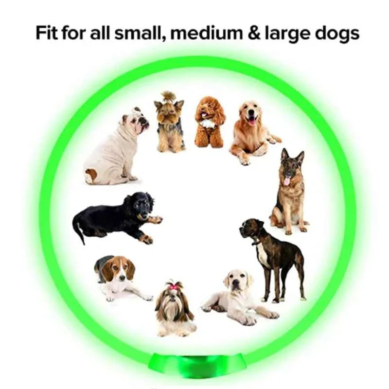 LED Pet Dog Collar for Night Safety | Bright USB Rechargeable