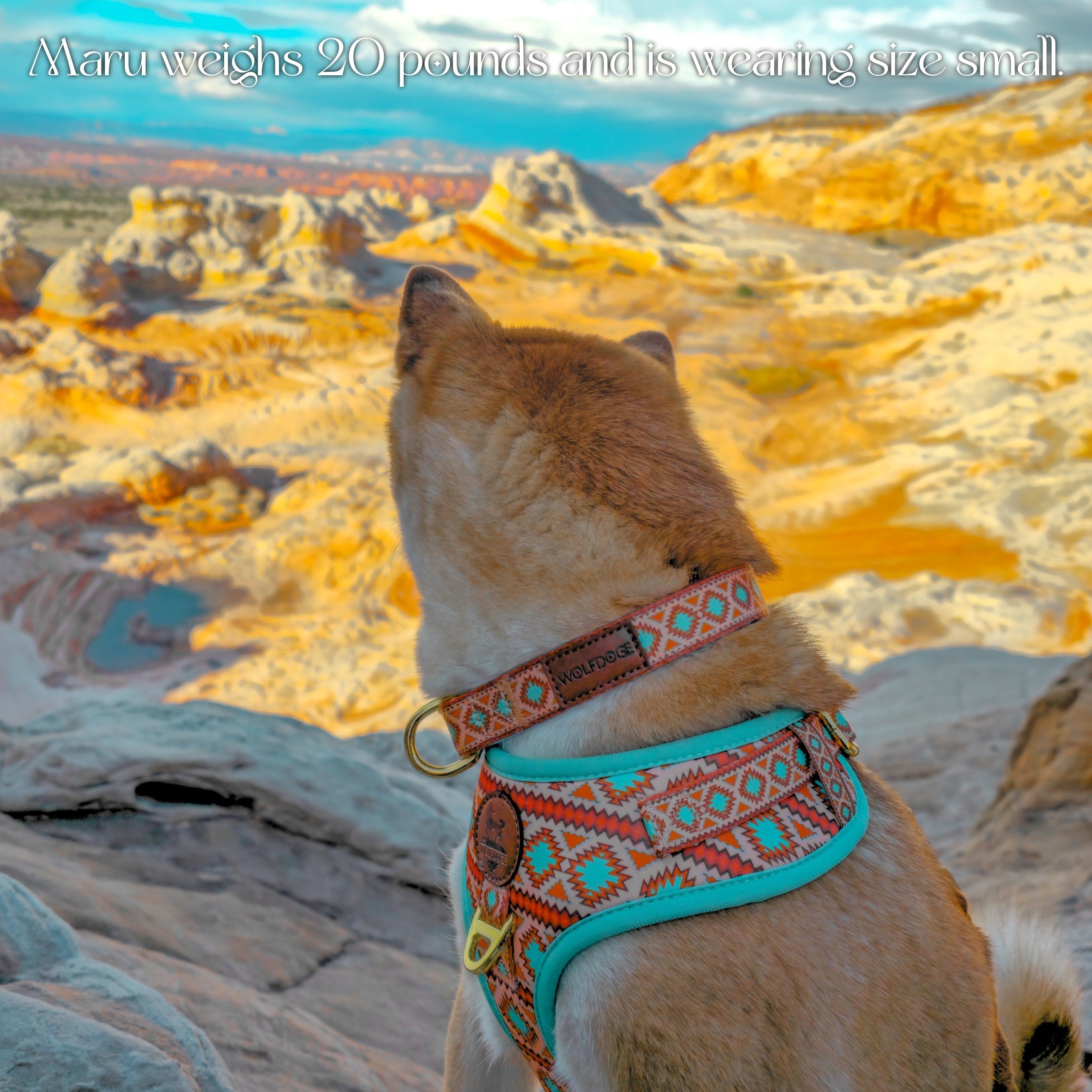 Southwest Spirit Collar