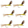 Sparkle Dun Pale Morning Dun PMD Yellow Body Mayfly 6 Flies Hook Size 14