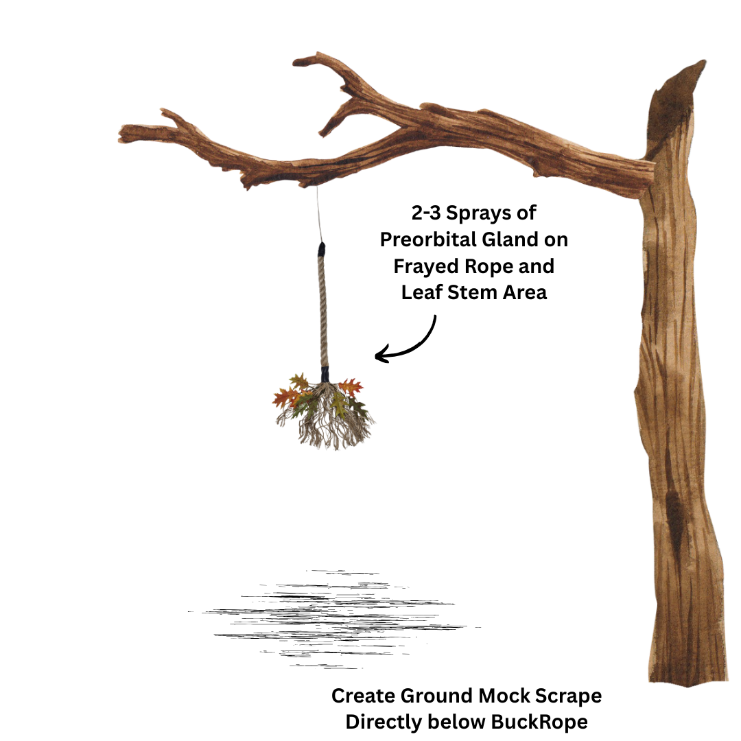 BUCKROPE