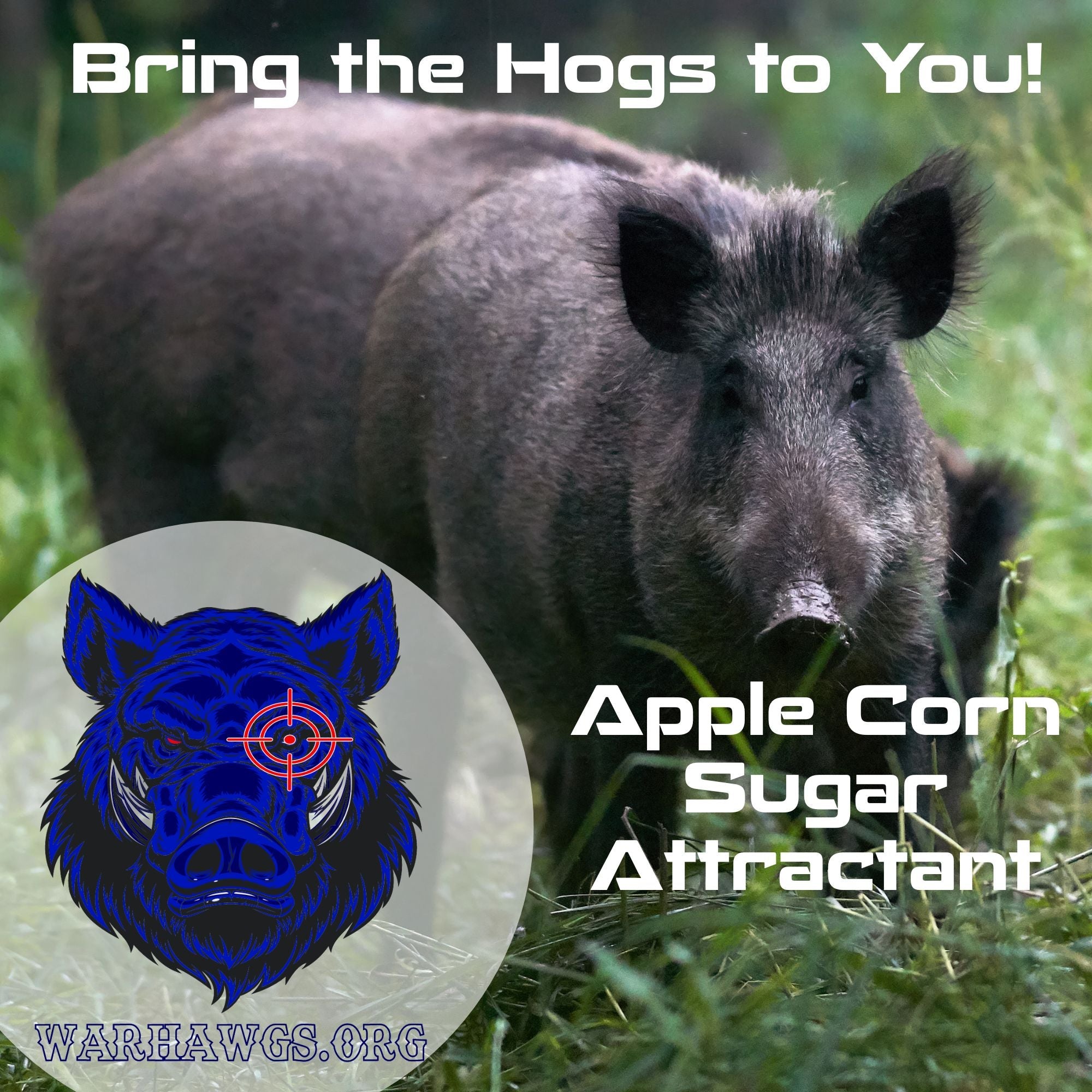 Realtree Fatal Attraction Warhawg Wild Hog Attractant – Apple Corn 8oz