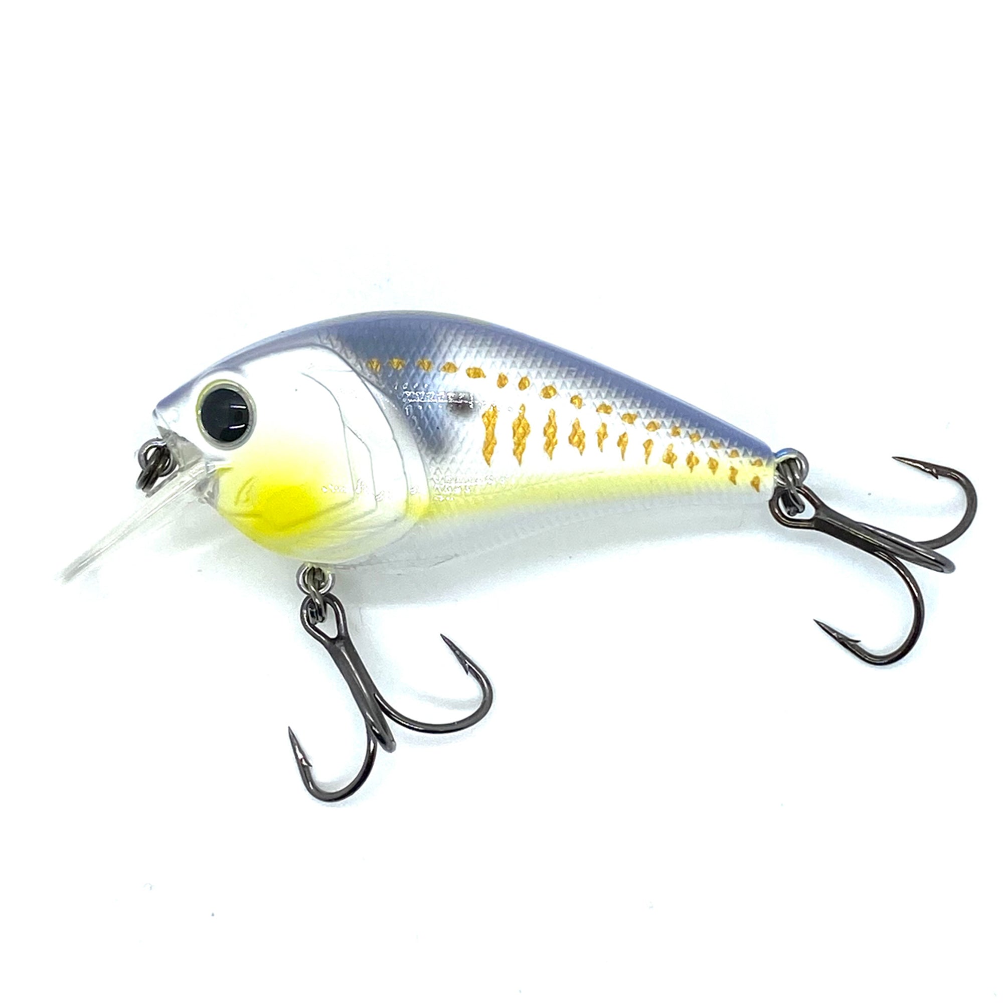 Hunter 1.5 Squarebill