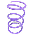 Aftermarket Assassins RS1 Secondary Springs for 2016-20 RZR Turbo