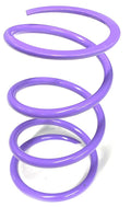 Aftermarket Assassins RS1 Secondary Springs for 2016+ RZR Turbo