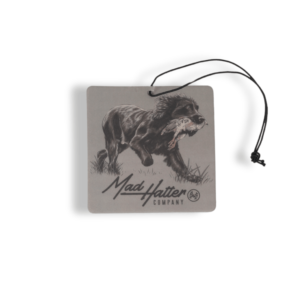 Air Fresheners