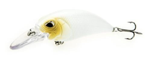 B8LAB Ultimate Strike Shad Bundle