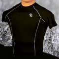 Discrete Armor System-IIIA