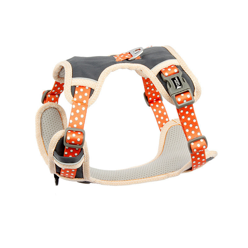 The Dog's Chest Strap Goes Out And Walks Leash