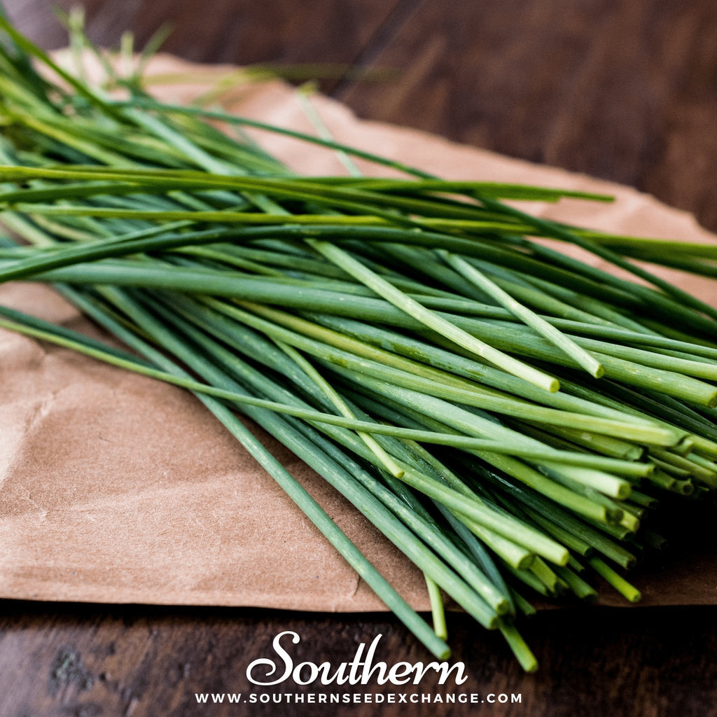 Chives – 100 Seeds