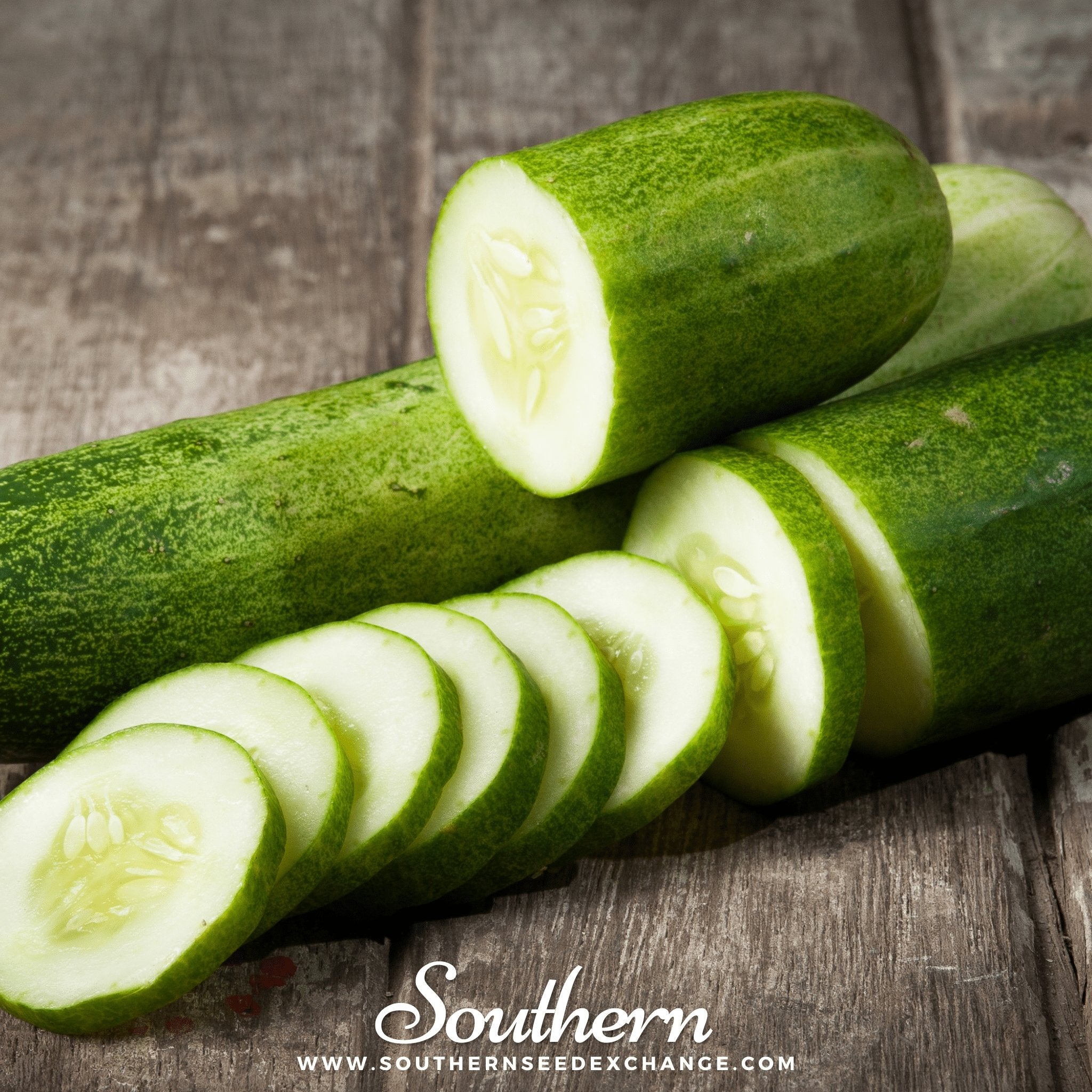 Straight 8 Cucumber – 30 Seeds