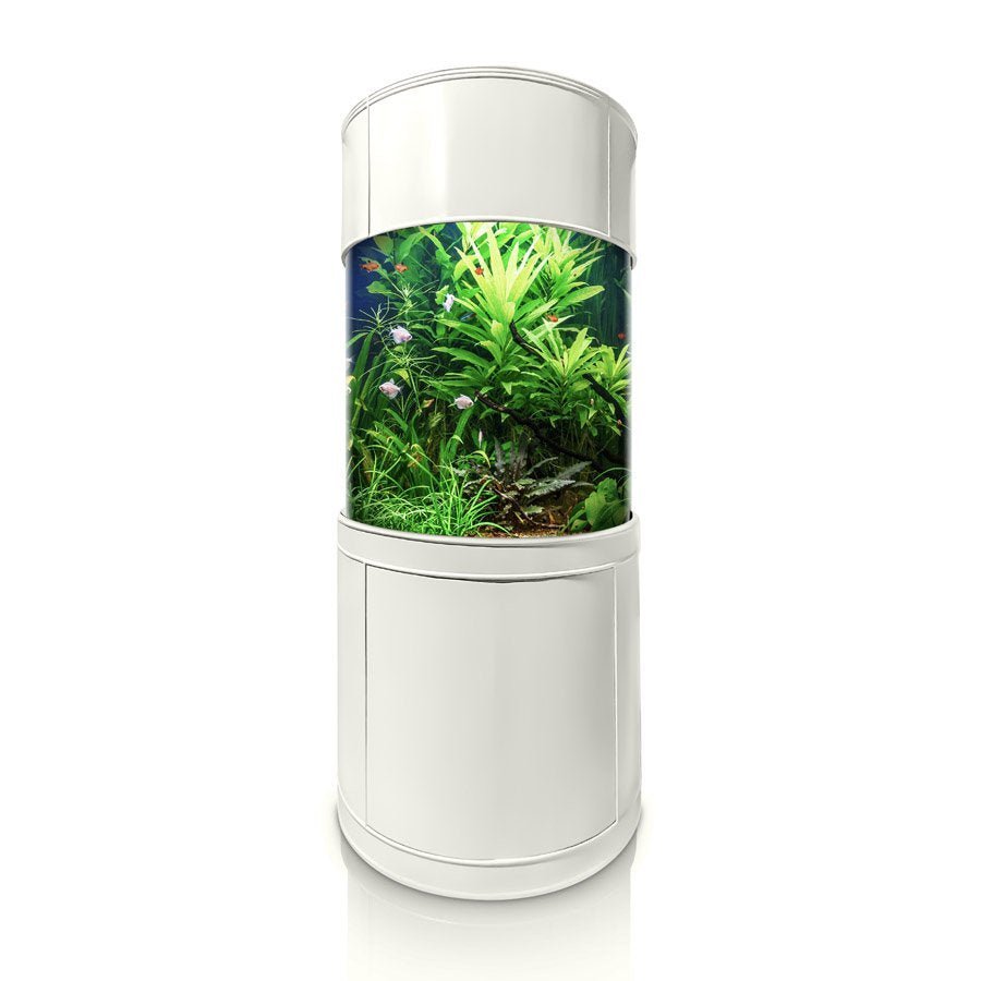 Glass Full Cylinder