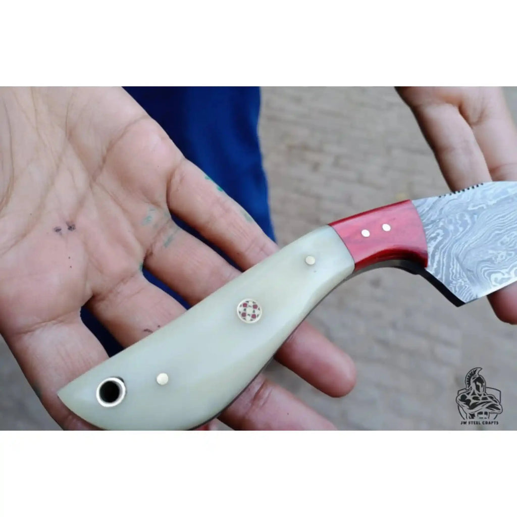 Damascus Skinner Knife Bone Red Pakka 6” Overall