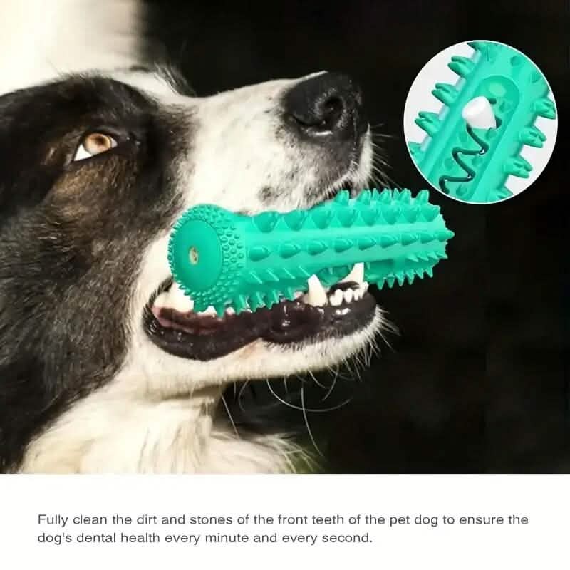 Dog Chew Toys Dog Toothbrush Stick