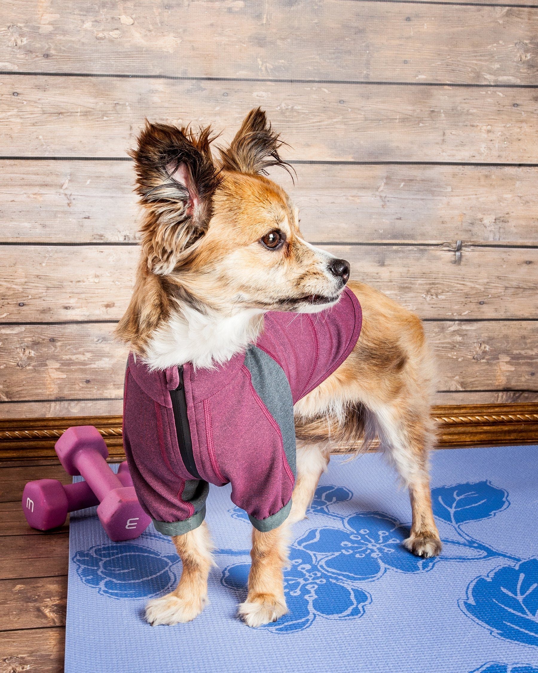 Dog Helios ® 'Eboneflow' Mediumweight 4-Way-Stretch Flexible And Breathable Performance Dog Yoga T-Shirt