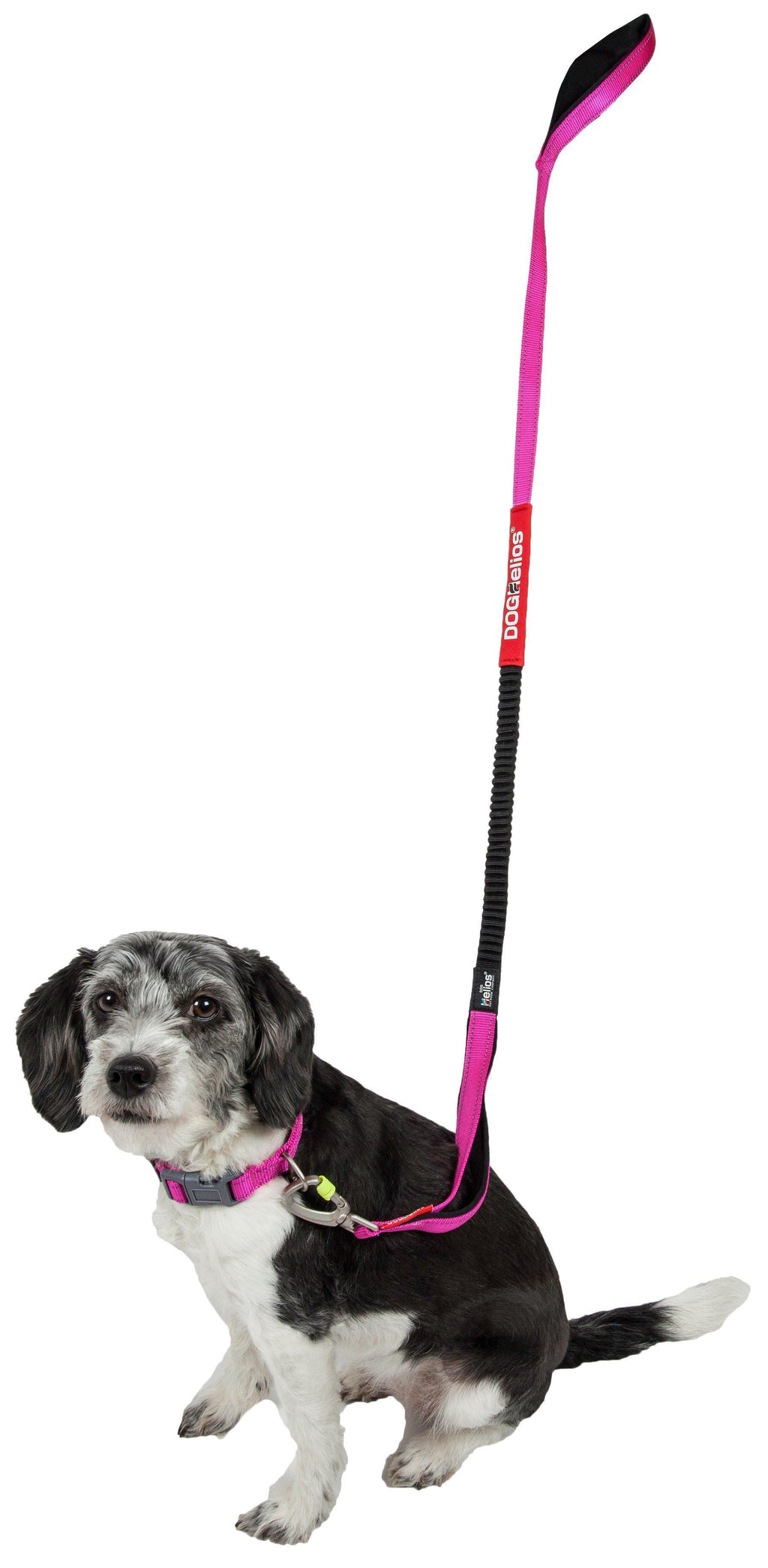 Dog Helios ® 'Neo-Indestructible' 2-in-1 Accordion Dog Collar and Leash