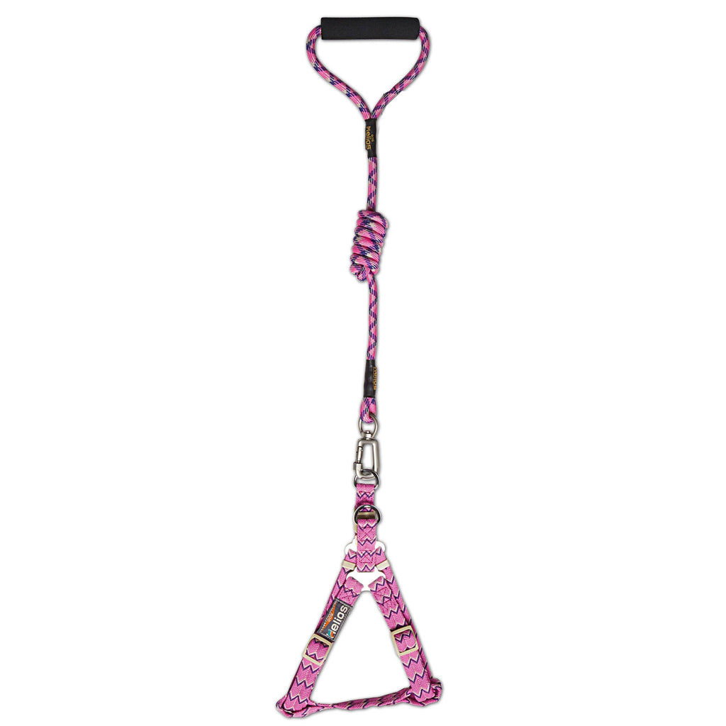 Dog Helios 'Surfside' Adjustable Dog Harness and Leash