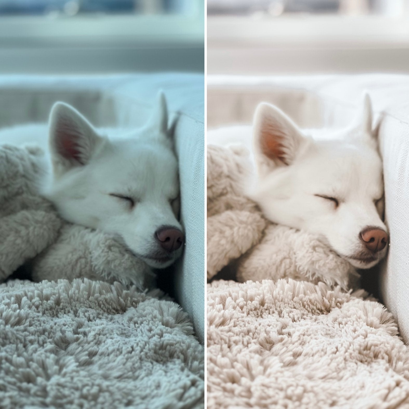 Dreamy Presets