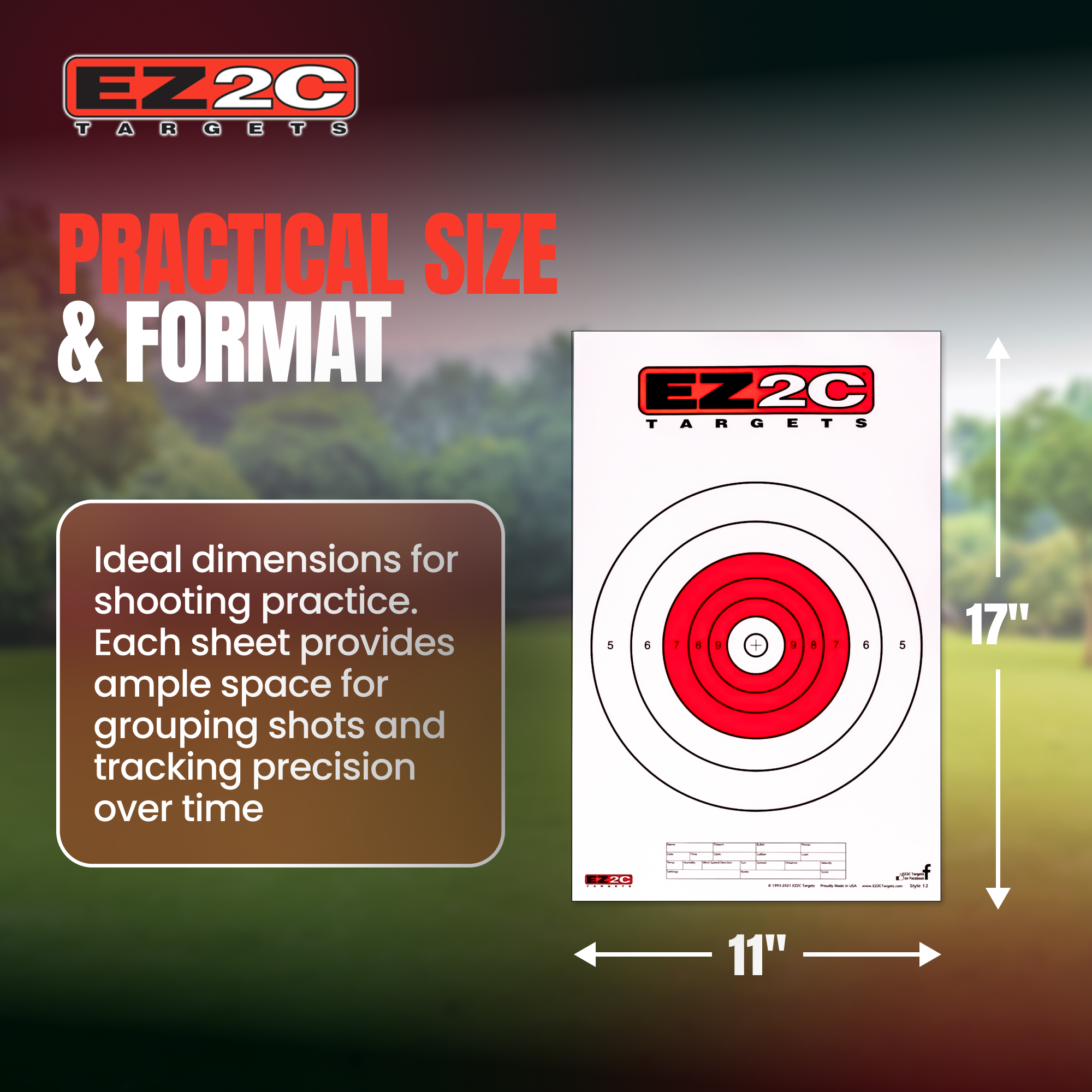 EZ2C Targets Style 12: Paper Shooting Targets for B16 11"x17" USA MADE