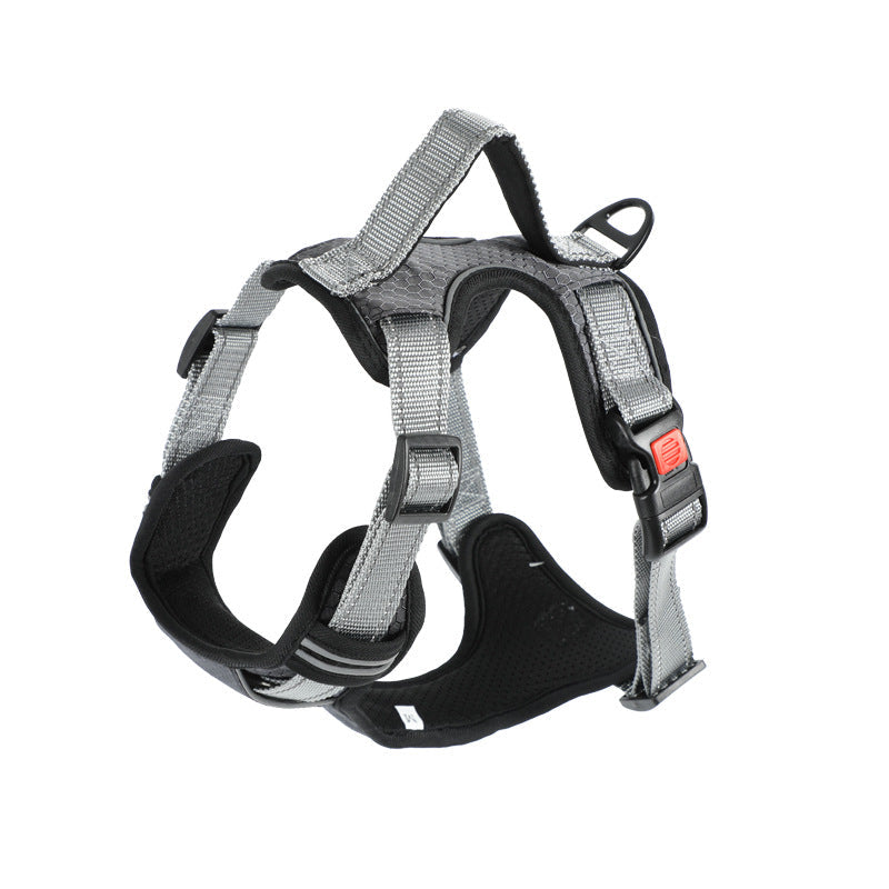 Dog Hand Holding Rope Vest Dog Chest Strap