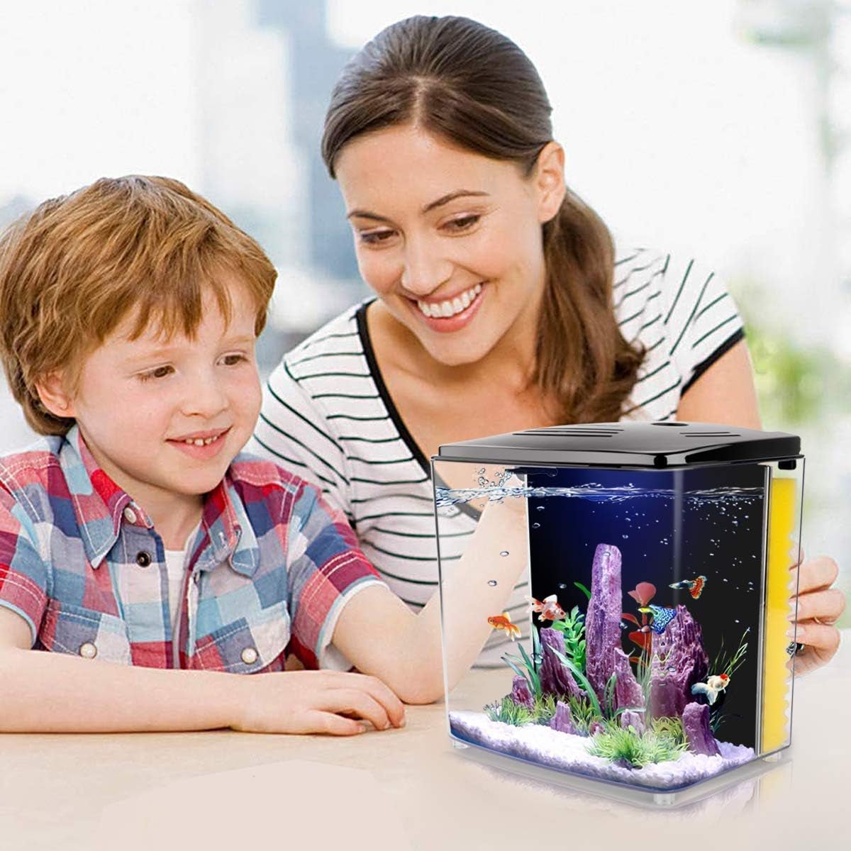1.2 Gallon Betta Aquarium with LED Light and Filter Pump