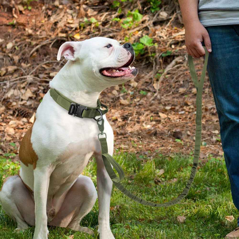 Military Tactical Dog Collar & Leash for Ultimate Control and Comfort