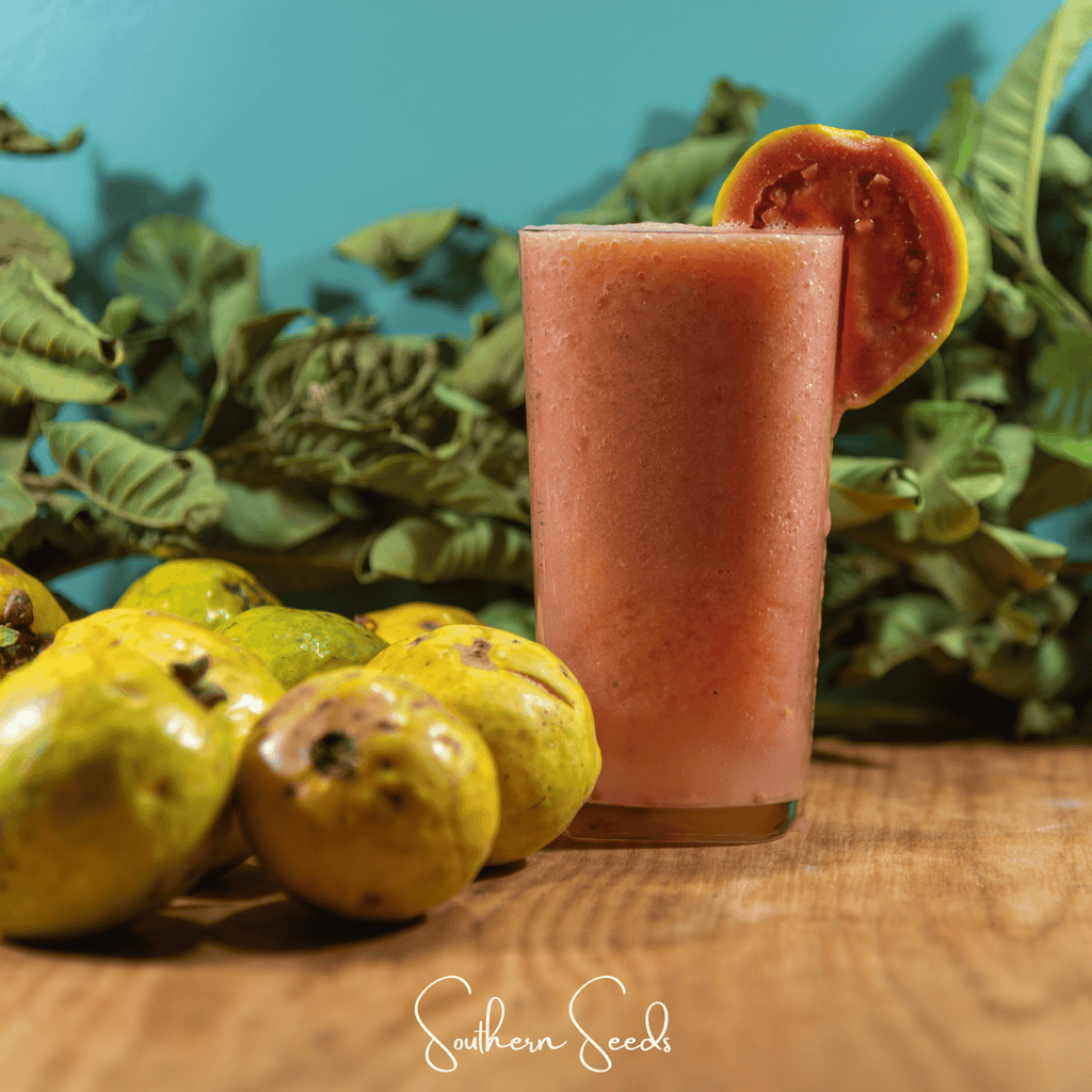Guava – 25 Seeds
