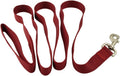 Jeffers 1-Ply Web Nylon Dog Leashes