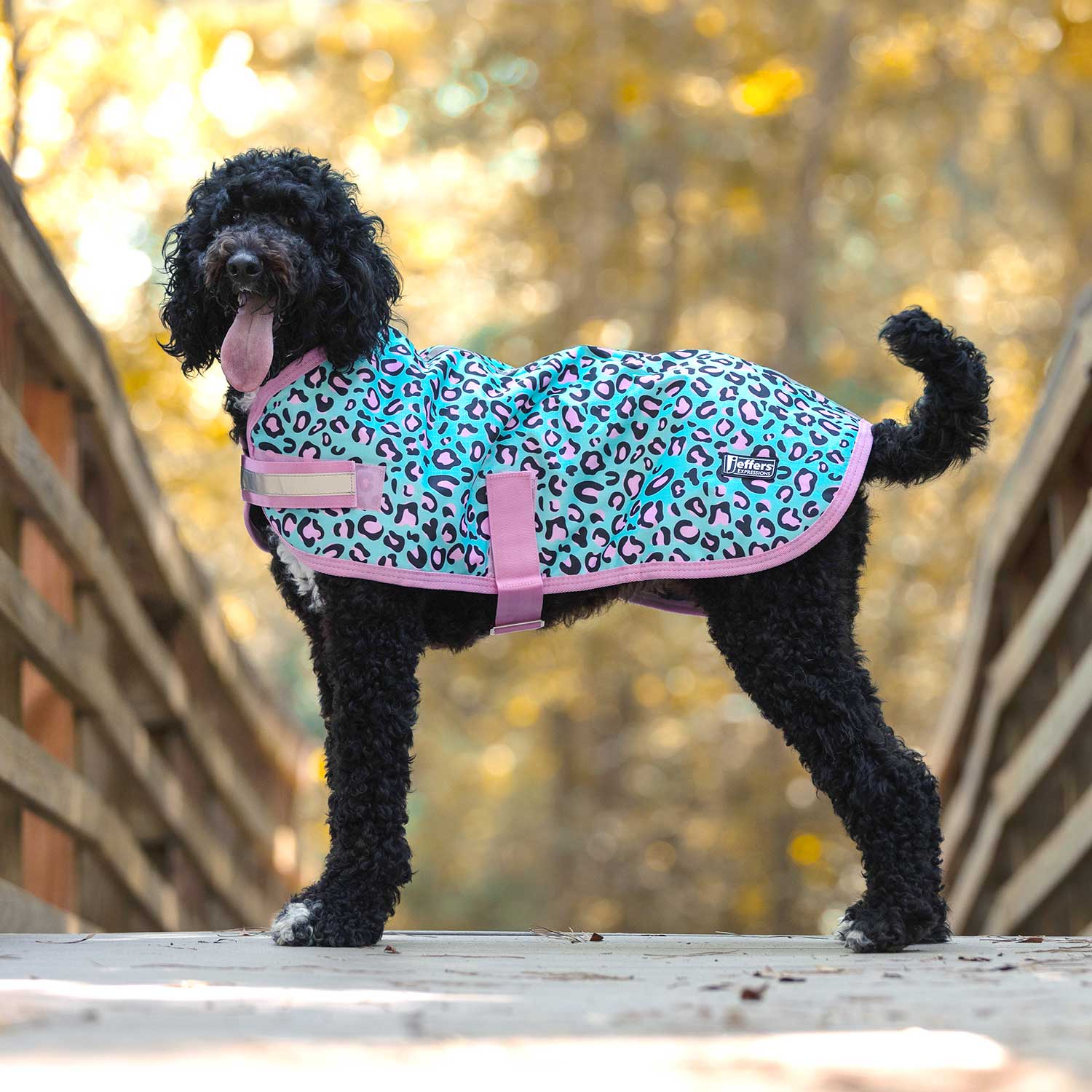 Jeffers Expression 600D Waterproof Ripstop Dog Coat, 240 Gram