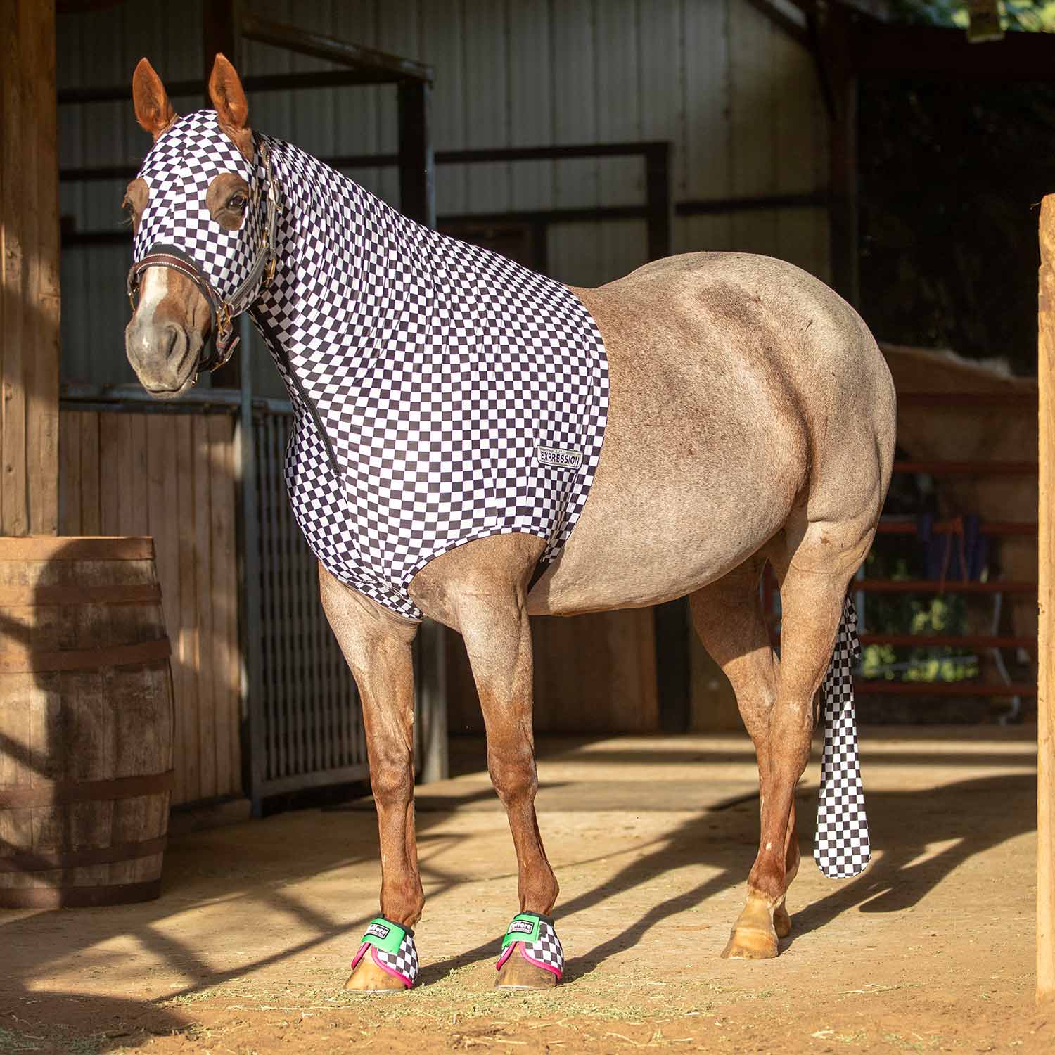 Jeffers Expression Lycra Hood for Horses