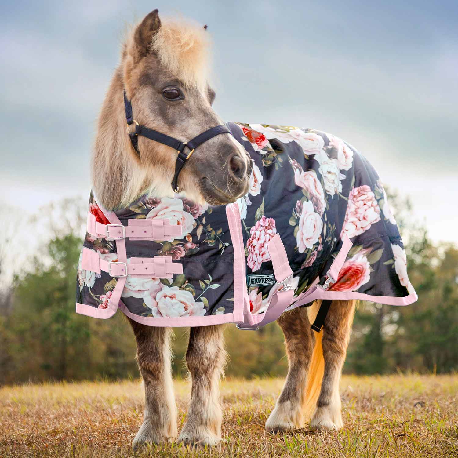 Jeffers Expression Pony 1200 Denier Medium Weight Standard Neck Turnout Blanket, 240g Fill