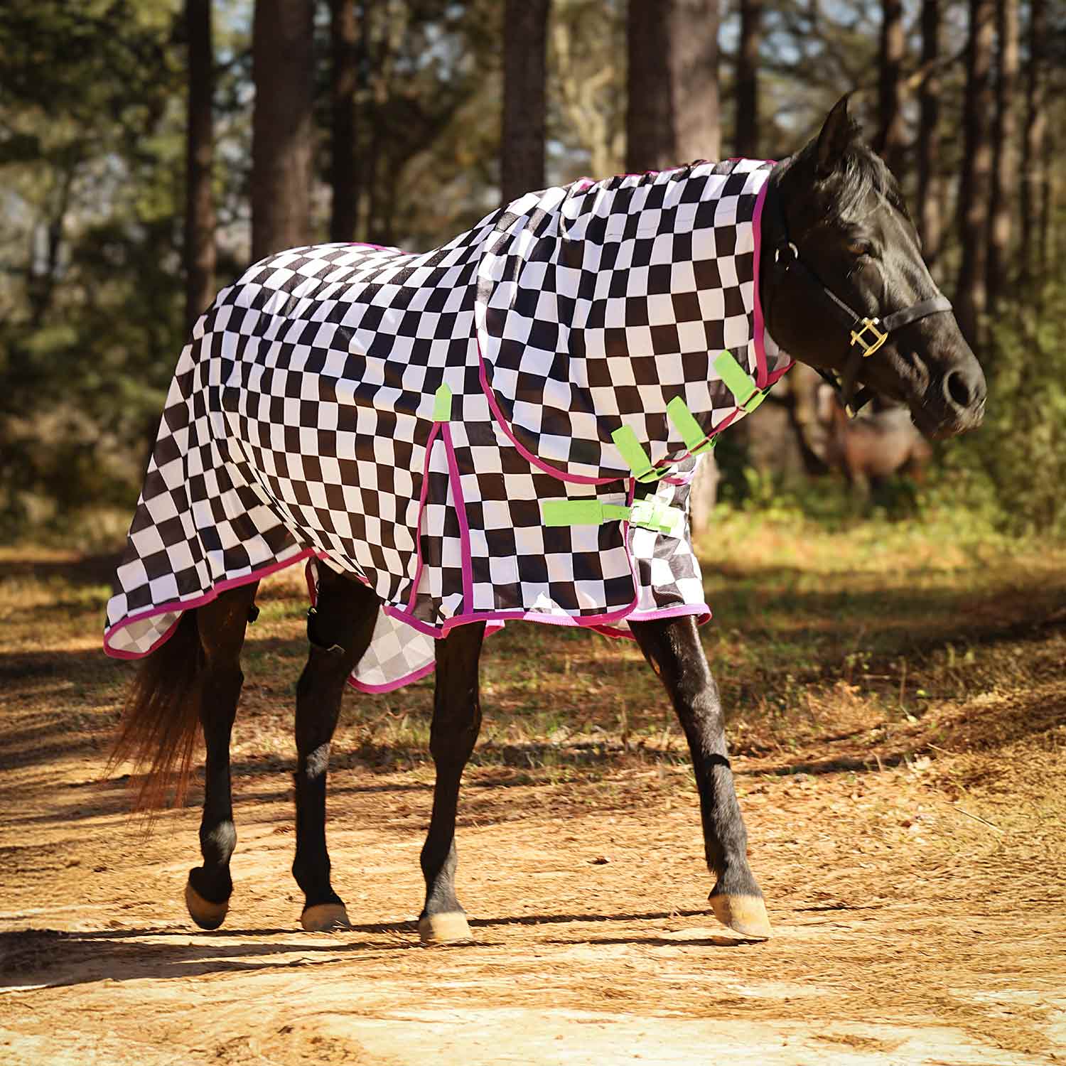 Pre-Sale Jeffers Expression Softmesh Combo Neck Horse Fly Sheet