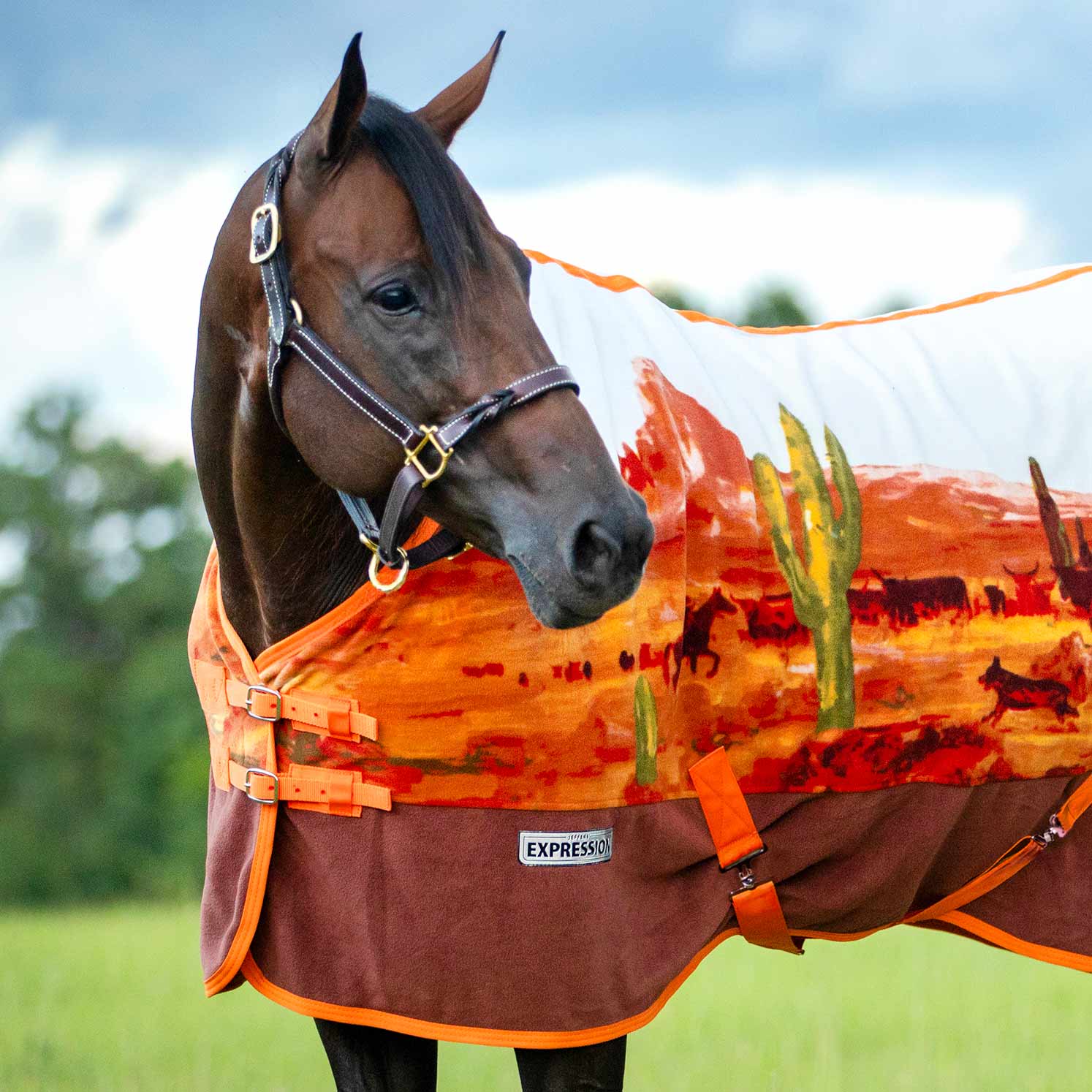 Jeffers Expression Standard Neck Fleece Horse Cooler