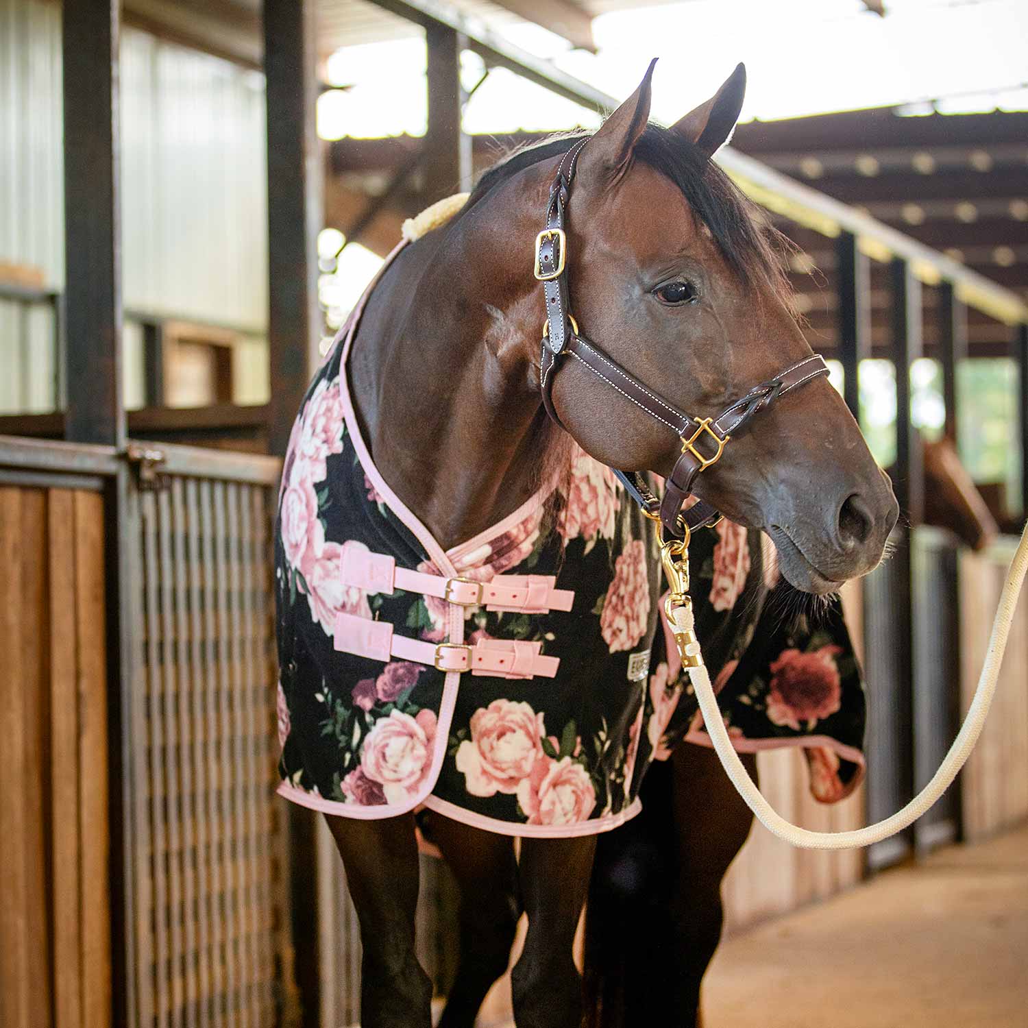 Jeffers Expression Standard Neck Fleece Horse Cooler