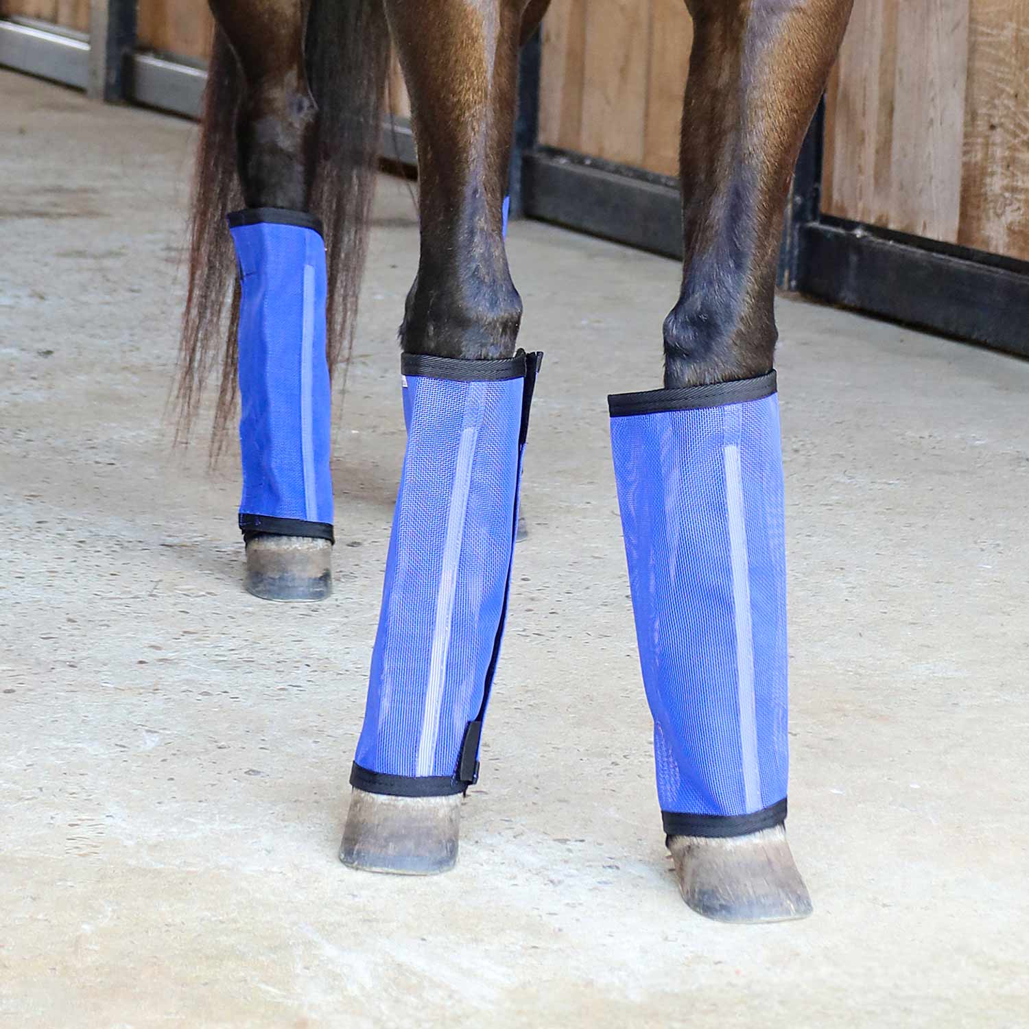 Pre-Sale Jeffers Romper Stomper "Stomp-Free" Fly Boots for Horses, 4 pack