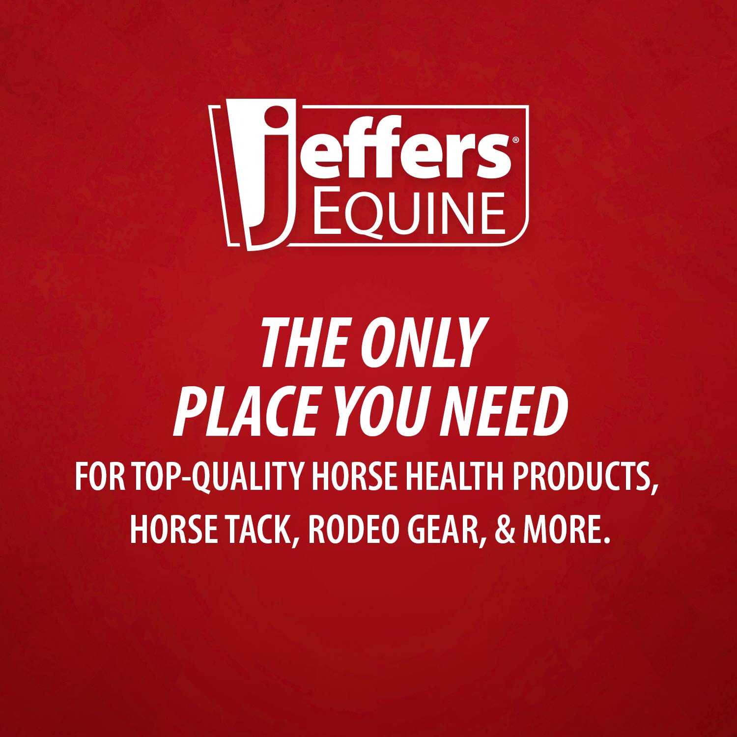 Jeffers Equine Tail & Mane Detangler and Conditioner for Horses