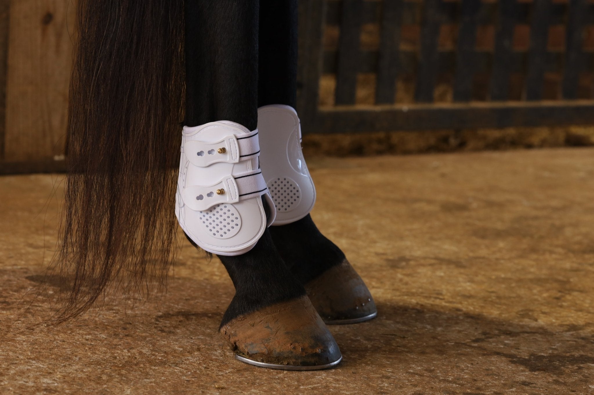 Jeffers Uniquely English Fetlock Boots for Horses, 2-Pack
