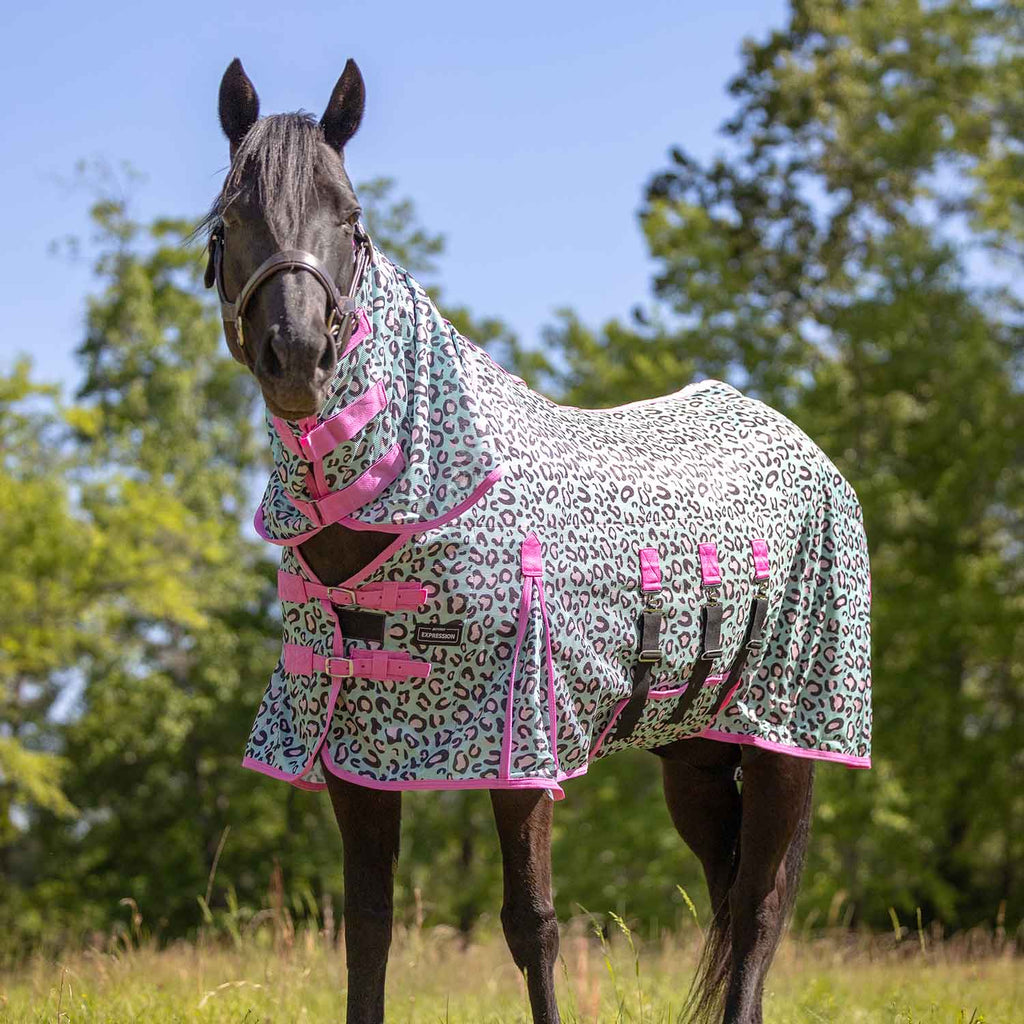 Pre-Sale Jeffers Expression Softmesh Combo Neck Horse Fly Sheet