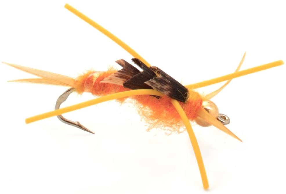 Basics Collection - Kaufmann's Stonefly Nymph Assortment - 10 Bead Head Rubber Legs Wet Flies - 5 Patterns - Hook Sizes 4, 6, 8, 10, and 12