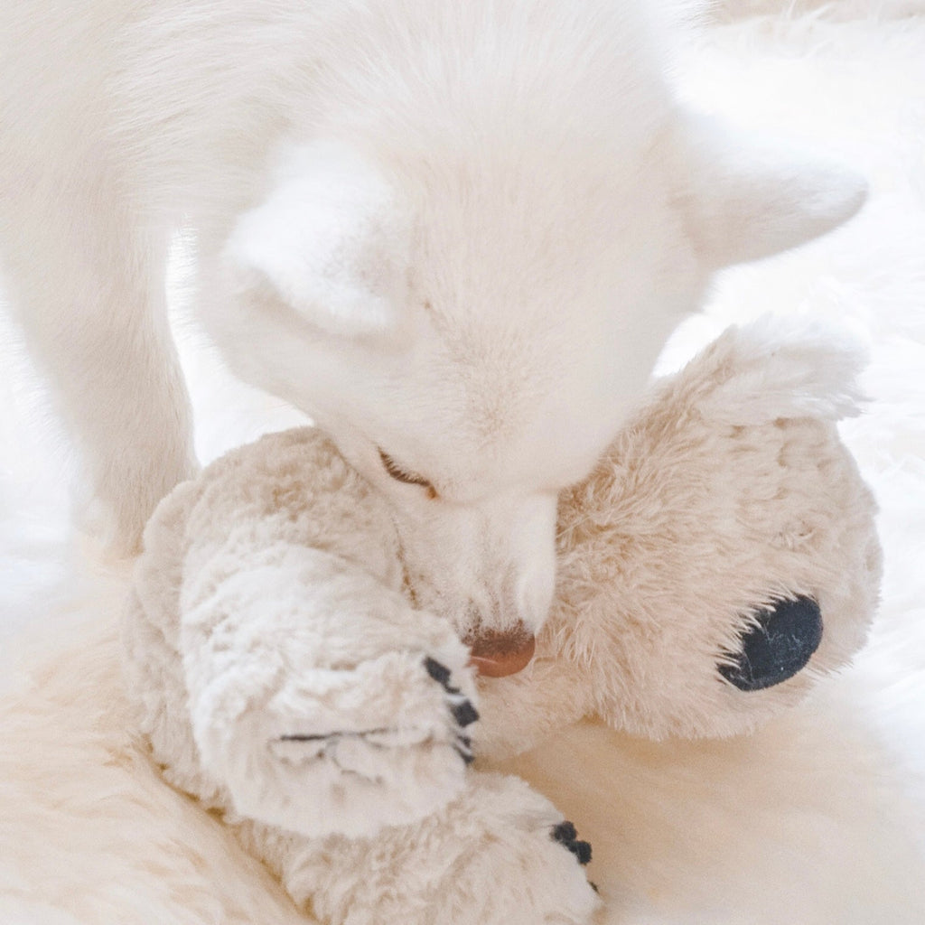 Koko Maxi Plushie
