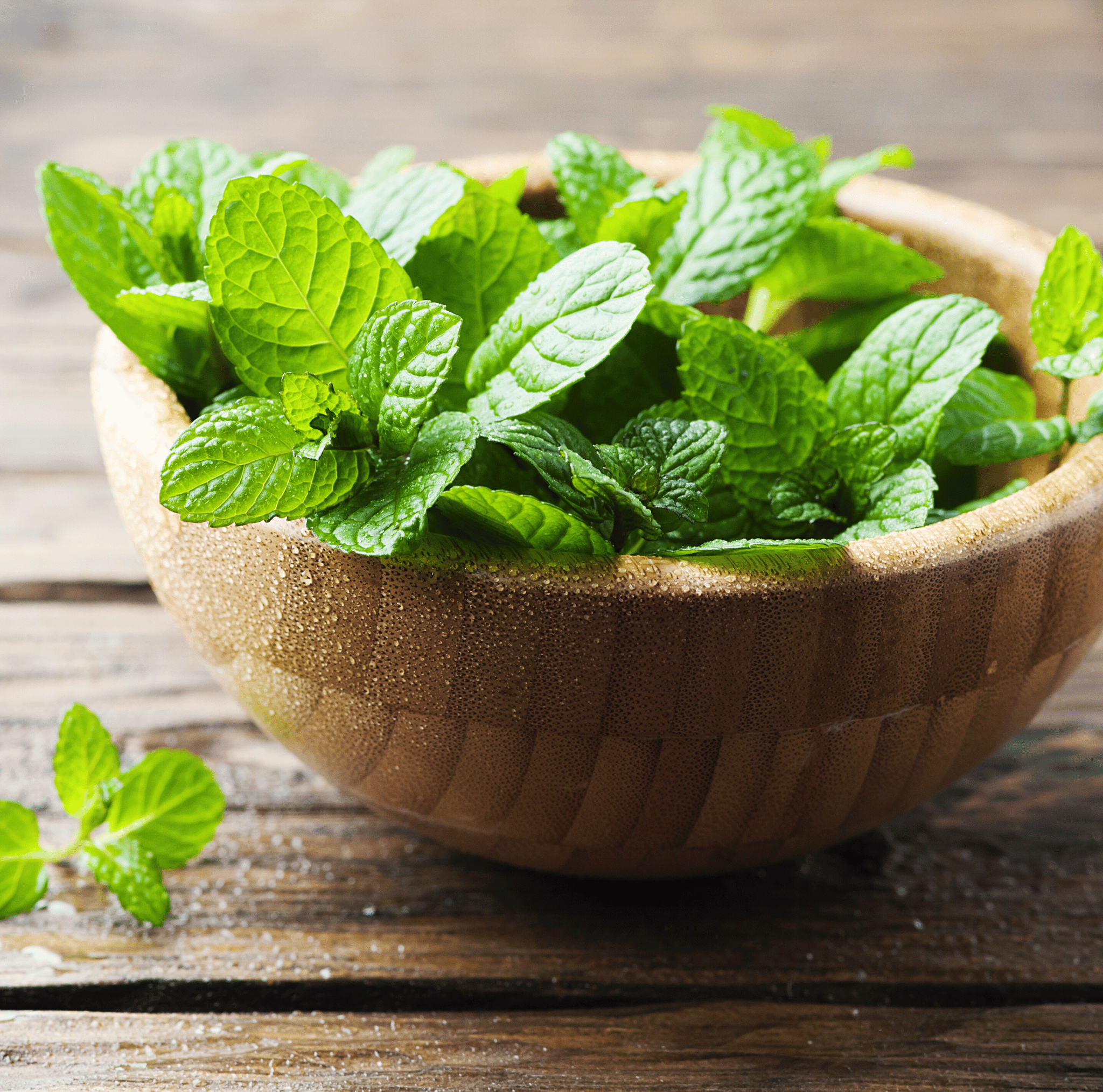 Mint – 100 Seeds