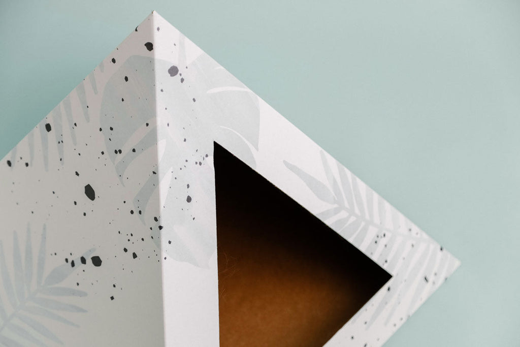 'Oasis' Cardboard Cat Pyramid